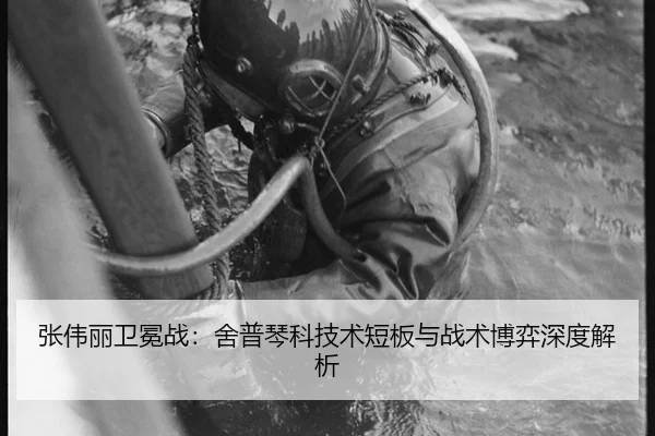 zhang-wei-li-wei-mian-zhan-she-pu-qin-ke-ji-shu-duan-ban-yu-zhan-shu-bo-yi-shen-du-jie-xi-2-176.jpg